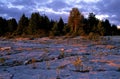 Seul Choix Point at Dawn 40487