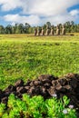 Seven Ahu Akivi Moai, which are the only Moai to face the sea. Easter Island