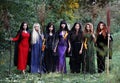 Seven beautiful witches