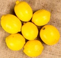 Seven beautifully colored lemons on a canvas
