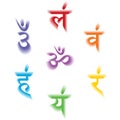 The seven bija mantras with 3D chakras set Sanskrit colorful letterig isolated on white background. Linear character illustration Royalty Free Stock Photo