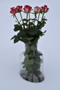 Seven bouquets of roses in a vase built into the snow.