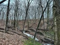 Seven Bridges Trail in Grant Park in Milwaukee, Wisconsin during winter Royalty Free Stock Photo