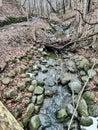 Seven Bridges Trail in Grant Park in Milwaukee, Wisconsin during winter Royalty Free Stock Photo