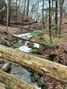 Seven Bridges Trail in Grant Park in Milwaukee, Wisconsin during winter Royalty Free Stock Photo