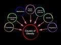 Seven Causes of Obesity