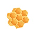 Seven cells of honeycomb full of honey. Vector illustration on white background.