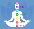 The seven chakra names map. Famale body in lotus yoga asana on blue petals background. Root, Sacral, Solar, Heart, Throat, 3rd Eye Royalty Free Stock Photo