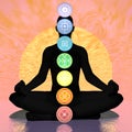 Seven chakra symbols column on black human being by sunset - 3D render