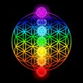 Seven chakras and flower of Life Royalty Free Stock Photo