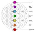 Seven chakras name with detail. This is religion, philosophy, and spirituality symbols.