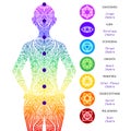 Seven chakras points, energy body. Yoga meditation. Location of different Chakras in the body. Root, Navel, Solar plexus, Heart,