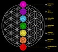 Seven chakras Set of seven chakra symbols with names. This is religion, philosophy, and spirituality symbols.