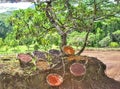 Seven colored earth, Chamarel, Mauritius