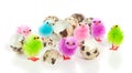 Seven colorful chicks