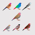 Seven colorfull finches