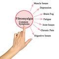 common symptoms of Fibromyalgia