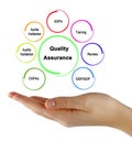 Components of Quality Assurance