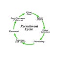 Components of Recruitment Cycle
