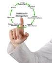 Components of Stakeholder Management Royalty Free Stock Photo