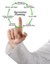 Components of Succession Planning