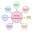 Consequences of Chronic Inflammation