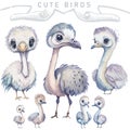 Cute Assorted Birds Ostriches Watercolor AI Generated