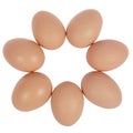 Seven eggs in circle