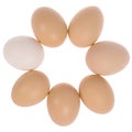 Seven eggs in circle. One egg white.
