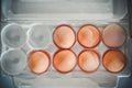 Seven Eggs in plastic box. top view