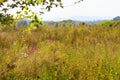 Seven Islands State Birding Park Royalty Free Stock Photo