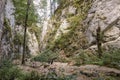 The Seven Ladders Canyon, a mountainous canyon in the county of Brasov, Romania Royalty Free Stock Photo