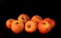 Seven light red apples on a black background. Fruits front view, nature, healthy, autumn wallpaper