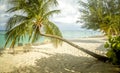 Seven Mile Beach on Grand Cayman island, Cayman Islands Royalty Free Stock Photo