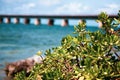Seven Mile Bridge in Florida Keys Royalty Free Stock Photo