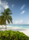 Seven Miles Beach on Grand Cayman Island