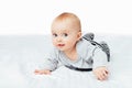 Cute smiling little baby girl sitting on bed. Seven month old infant child on grey soft blanket Royalty Free Stock Photo