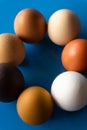 Seven multi-colored eggs lie in a circle on the table