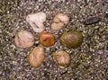 Seven pebbles stone