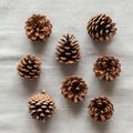 The pine cones vary slightly in size and shape, with a light Royalty Free Stock Photo