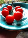Seven red cherry tomatoes on a small plate Royalty Free Stock Photo