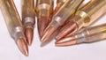 Seven rifle bullets, .223 and .300 Winchester Magnum calibers