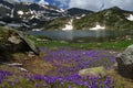 Seven Rila Lakes, Bulgaria - summer over The Fish lake