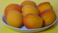 seven, ripe, juicy, apricots, white, plate, yellow, isolate, summer, food, background, picture.