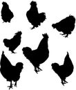 Seven rooster silhouettes Royalty Free Stock Photo