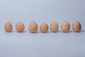 Seven rows of walnuts arranged side by side Royalty Free Stock Photo