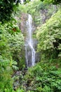 Seven Sacred Pools of Ohio, Maui, Hawaii Royalty Free Stock Photo