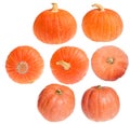 Seven small orange pumpkins on white Royalty Free Stock Photo