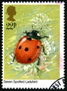 Seven Spotted Ladybird UK Postage Stamp