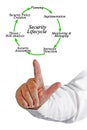 Stages of Security Lifecycle Royalty Free Stock Photo
